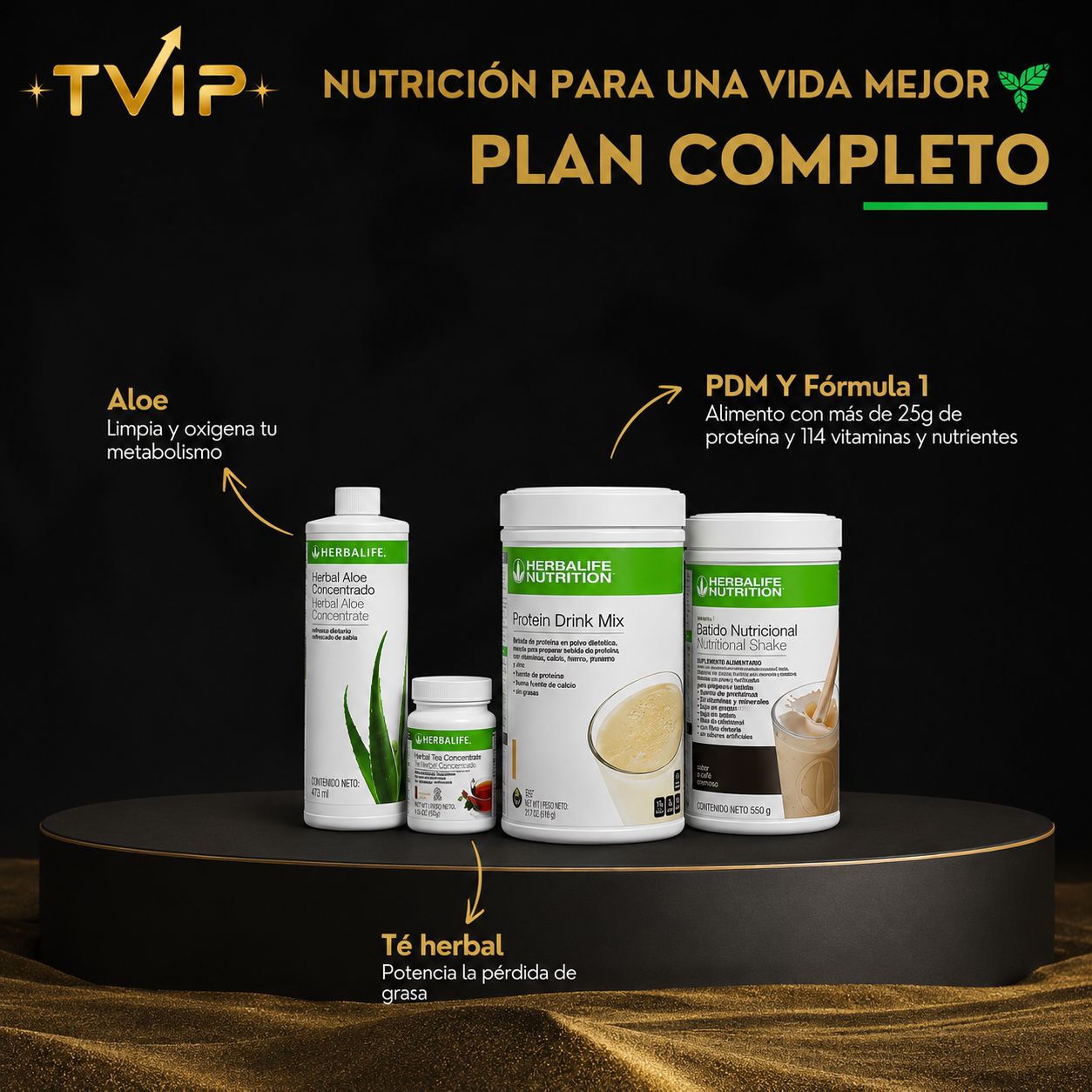 Plan Completo