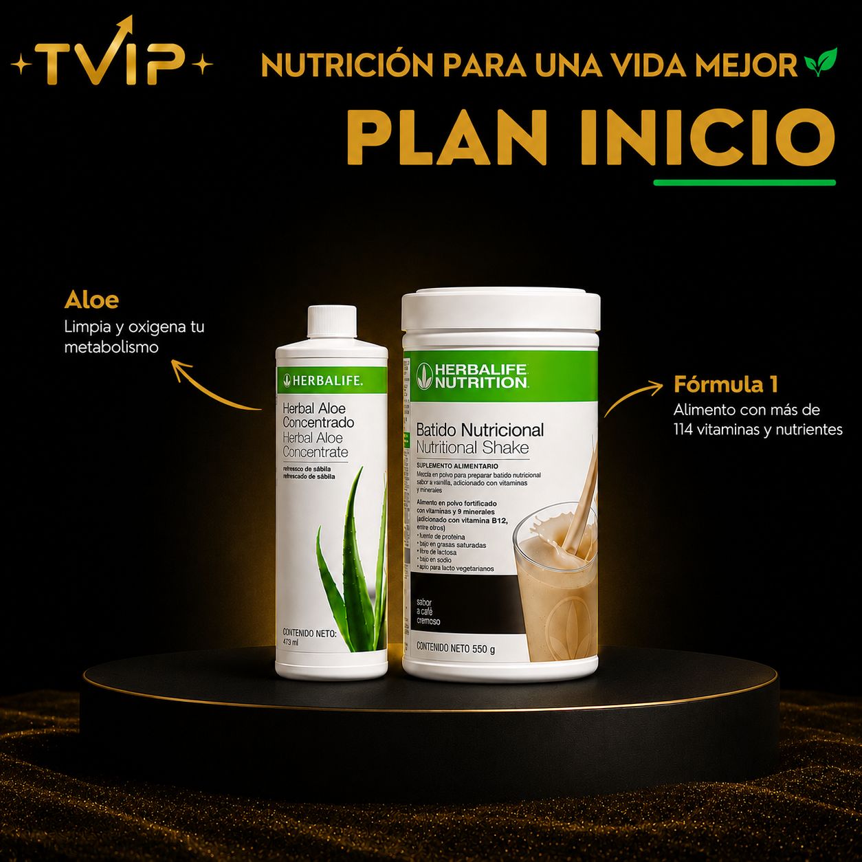 Plan Inicio